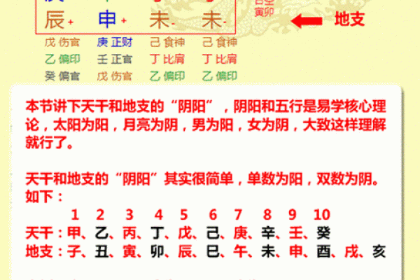 甲子日柱的姻缘分析：怎样通过命理提高婚姻运势？