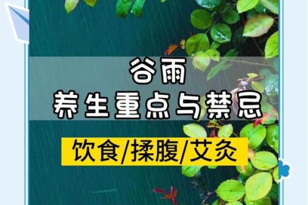 谷雨五行揭秘：如何通过五行调理身体健康？