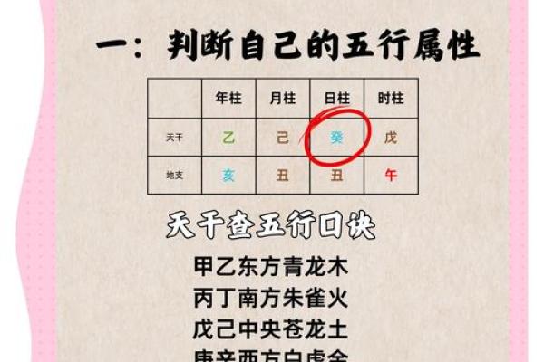 如何通过五行调整你的运势和健康