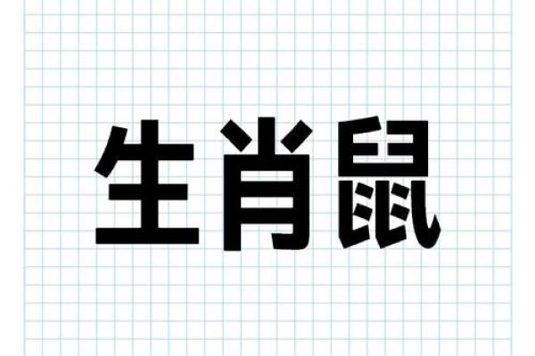 属鼠人运势：关键年份的运程预测与建议