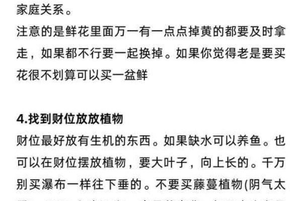 风水招财的奥秘与实践技巧