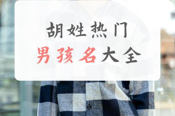 胡姓男孩名字的寓意与选择技巧