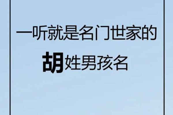 胡姓男孩名字的寓意与选择技巧
