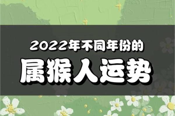 属猴人的运势变化及应对策略