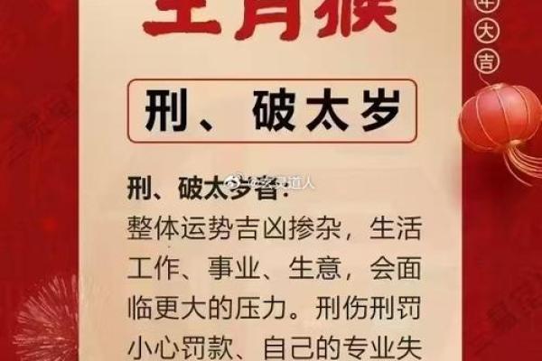 属猴人的运势变化及应对策略