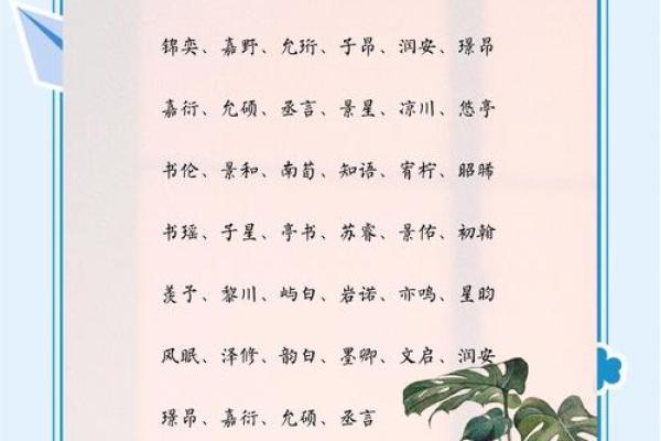 给可爱男孩起名的最佳灵感与建议