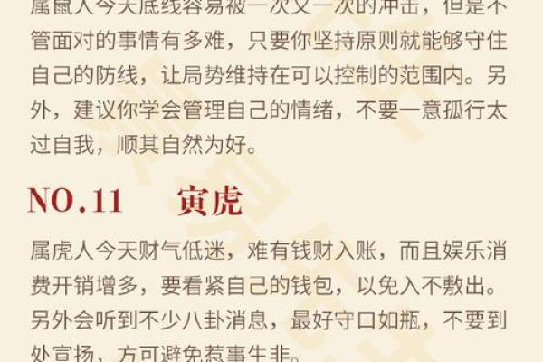 鼠月整体运势概况及应对策略