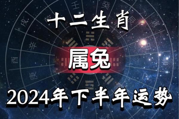 兔年运势与性格：属兔人的一生走向
