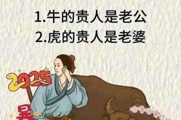 本命年龙男如何应对家庭矛盾