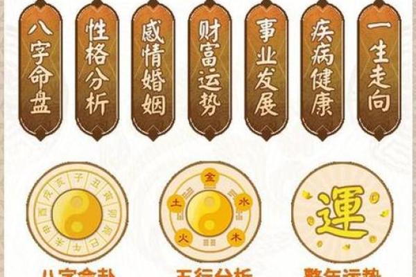 如何通过八字和生肖分析个人运势