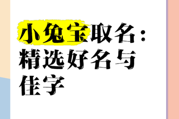 佳字带来的品位与格调：名字中的不朽之选
