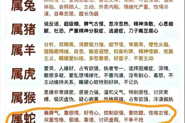 蛇年运势如何影响你的人际关系与健康