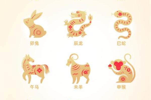 十二生肖每月健康运势预测