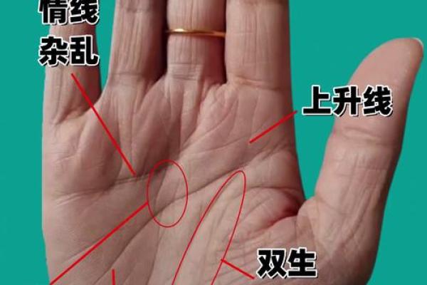 从手纹看财富运势：哪些掌纹象征富贵