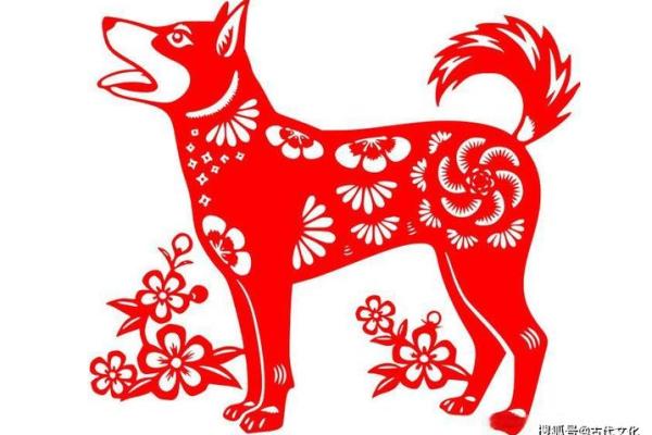 属狗人本命年如何管理财富