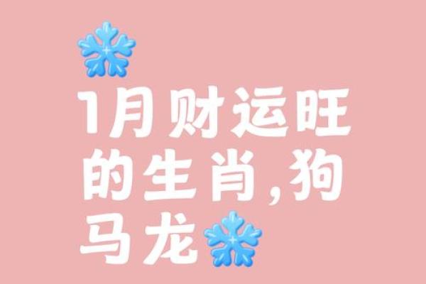 属狗人本命年如何管理财富