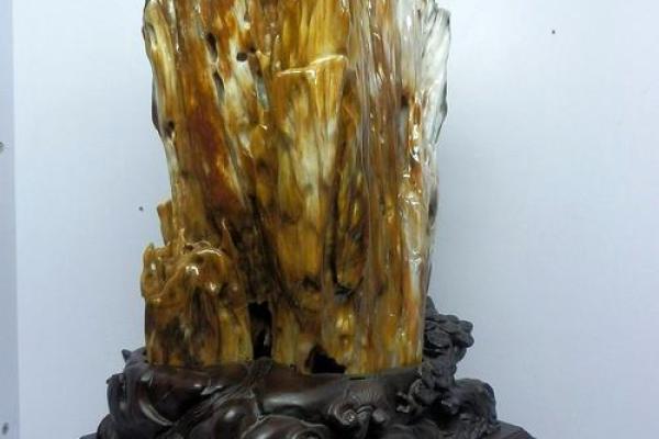 家居风水树化玉的神奇作用与摆放技巧