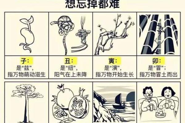 土命与大林木的神秘关联及其深层含义解析