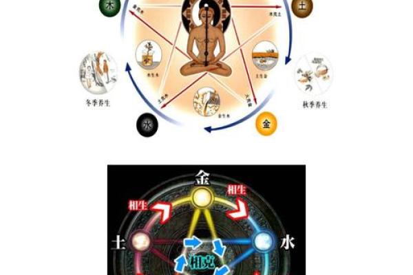了解衿五行属性，揭秘五行与命运的神秘联系