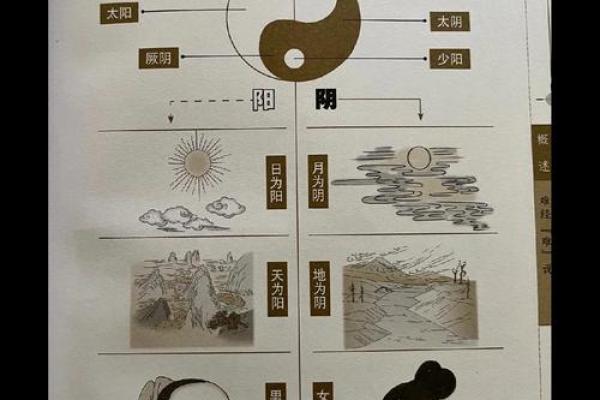 五行之源：探索自然界中的五大元素如何影响我们的生活