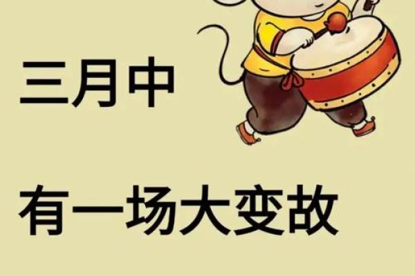 女鼠如何化解运势低迷：提升运气的秘诀