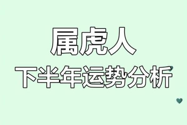 属虎人的运势解析