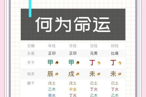榆木五行属性解析，揭示其在命理中的深远意义