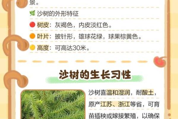 各种树木的别名与习惯称呼