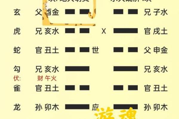 鸡运程解析：掌握这几点让你运势飙升