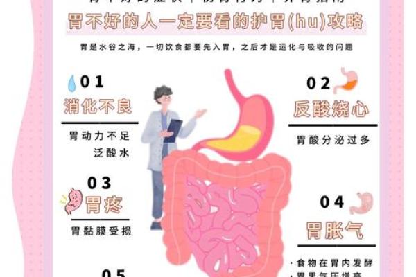 风水教你如何通过家居布置照顾胃部