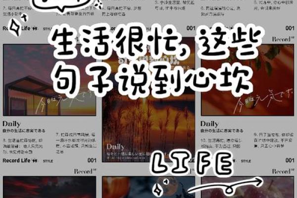 探讨富碌命的内涵与影响：为何生活总是忙碌无果