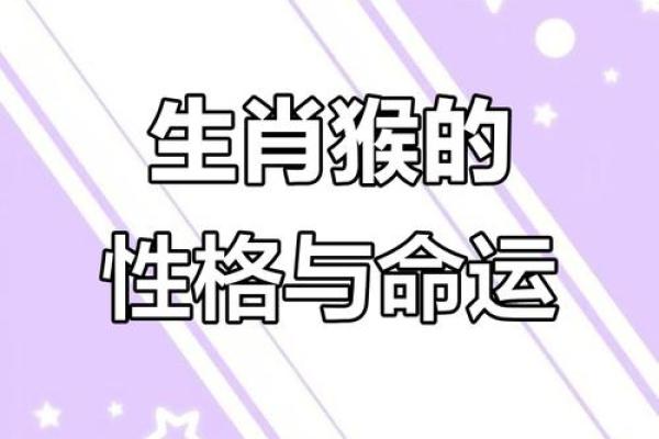 属猴人运程详解及应对策略