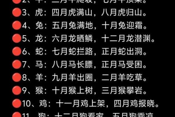 甲子年如何影响属相运势及其应对策略