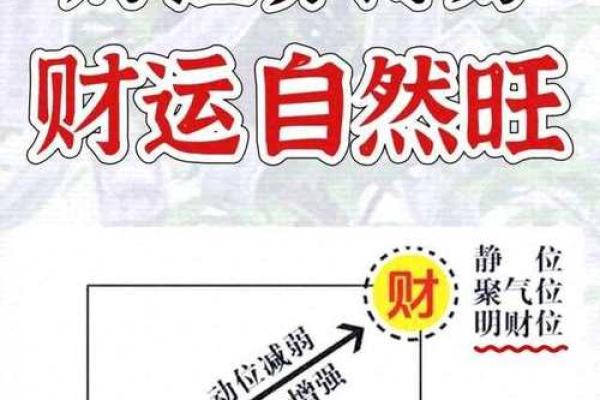 家居风水大揭秘，笑翻你的家居运势！