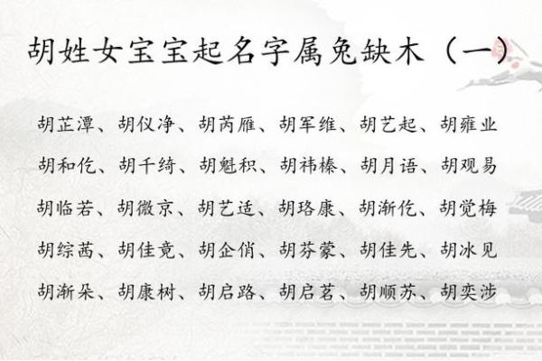 胡姓女孩名字：传统与现代的完美结合