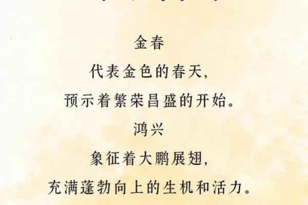 教育公司命名技巧与创意灵感全指南