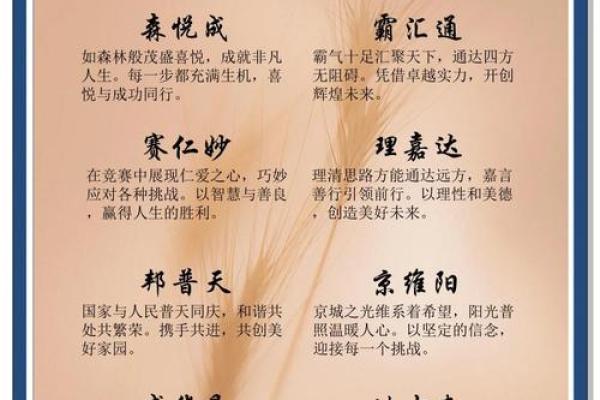 教育公司命名技巧与创意灵感全指南