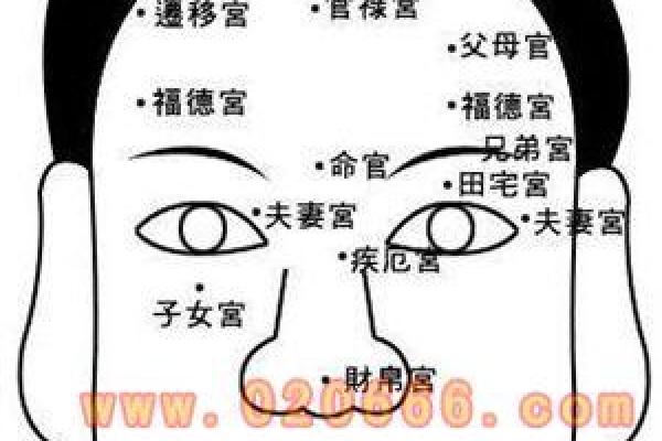 樽字五行解析：揭开其深层含义与命运影响