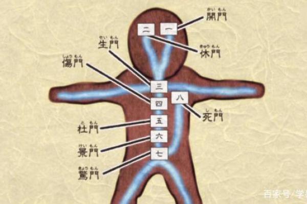樽字五行解析：揭开其深层含义与命运影响