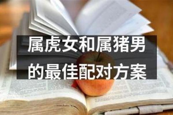 属虎人的婚姻配对解析与建议