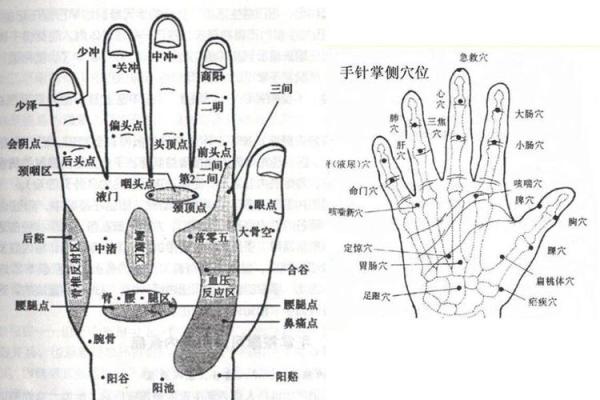 古琴五行属性解析：如何通过音律了解五行之道