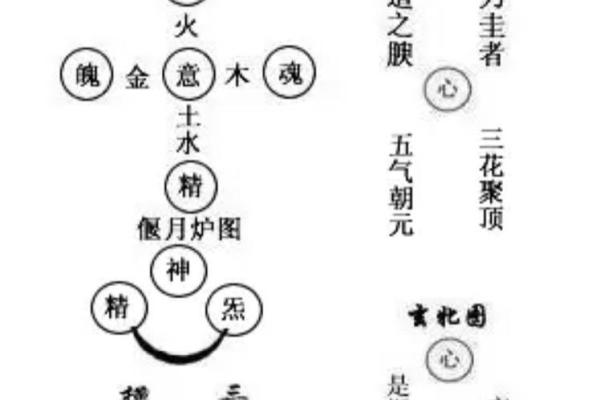古琴五行属性解析：如何通过音律了解五行之道