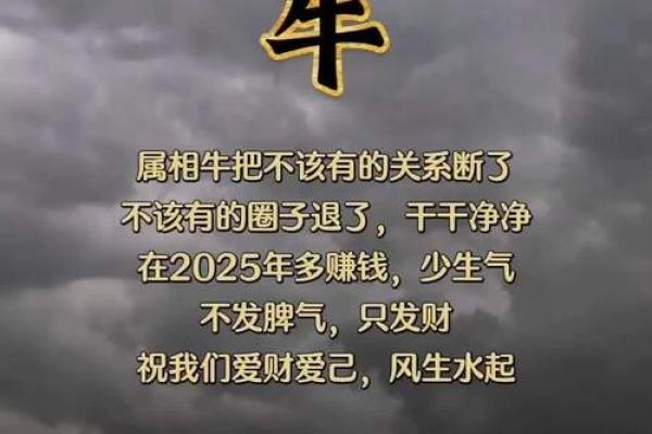 属牛人本命年如何化解破财危机