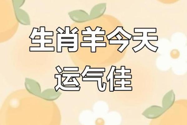 属羊人今日运程预测：幸运与挑战并存