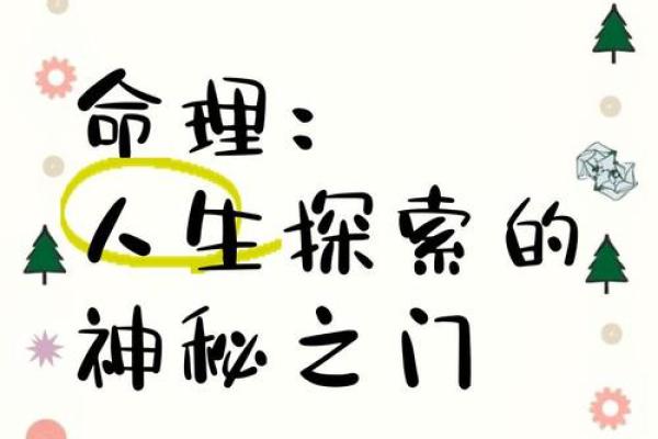 探索上格命局的命理学基础