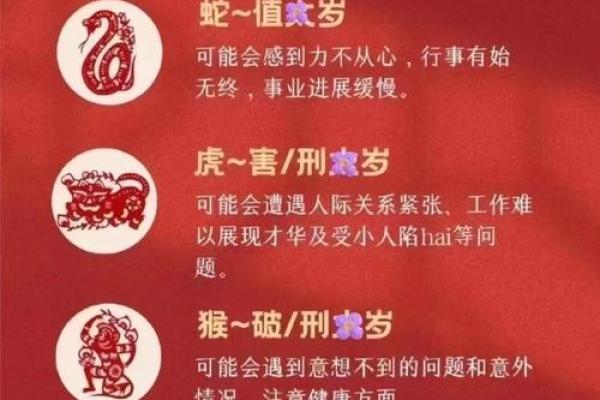 猪年命运大解析：如何迎接好运与避开灾难