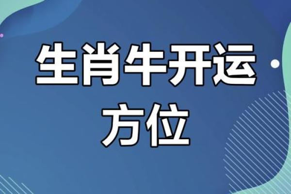 提高属牛人财运的风水布局技巧