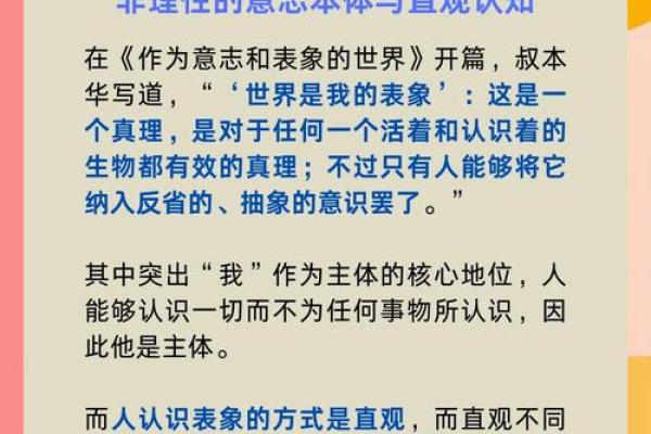 探索不正之命的哲学视角与人生启示