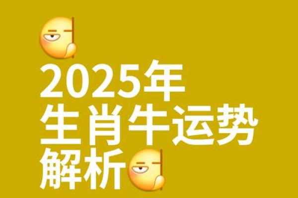 属牛人如何在本命年实现自我突破