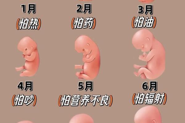 探索胎身命对个人命运的影响